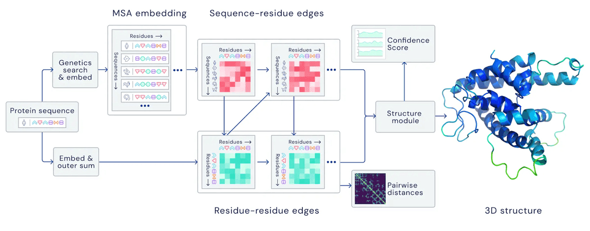 Схема работы AlphaFold 2, включая модули Evoformer и Structure Model.